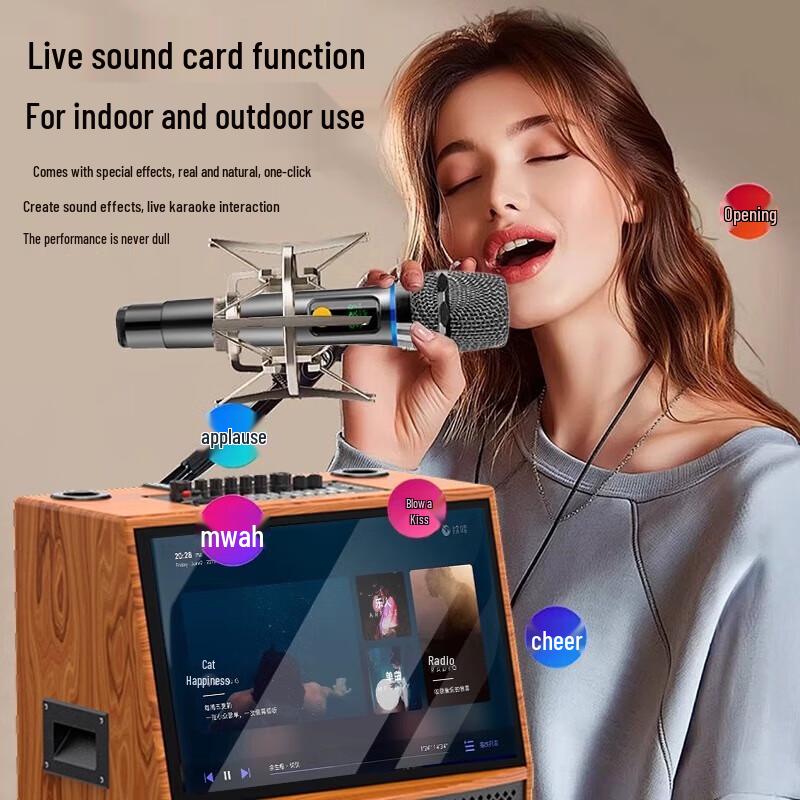 Soaiy SA-D15C 15-inch Outdoor KTV Karaoke Speaker with Display