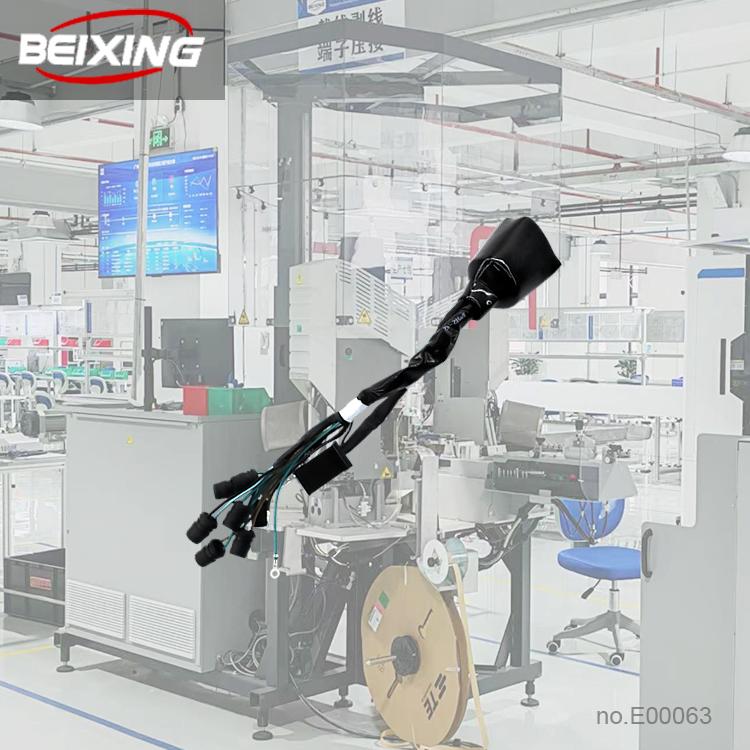 Molex Micro-fit Overmolded Custom Wire Harness Cable Assembly E00063 for Car IATF16949 for PVC Insulation IP66 BeiXing