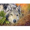 Животное волк Diy Алмазная картина Вышивка крестиком Полный круглый Алмазная вышивка
