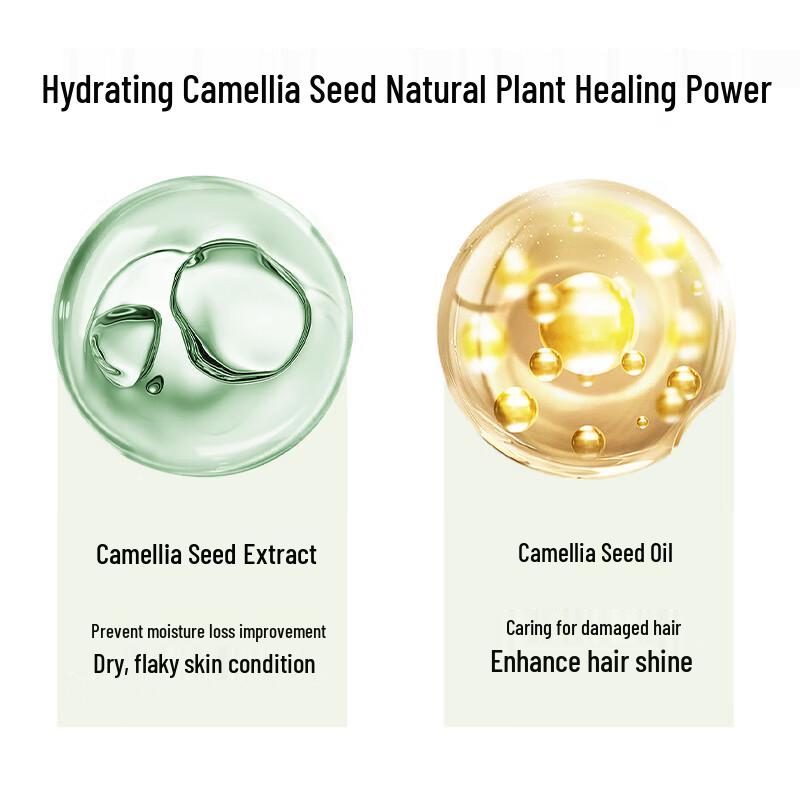 Forest Dew Botanical Fragrance Travel Hair & Body Care Set