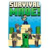 Minecraft Survival Mode Fleece Blanket