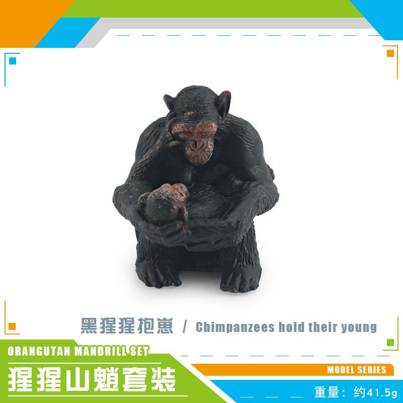 Source Simulation Animal Model Orangutan Mandrill 7 Chimpanzee Ghost Baboon Solid Static Ornament Toy