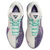 Nike Баскетбольные кроссовки LeBron 22 Support, унисекс, фиолетовые, белые, зеленые, азиатская версия, HV8453-001