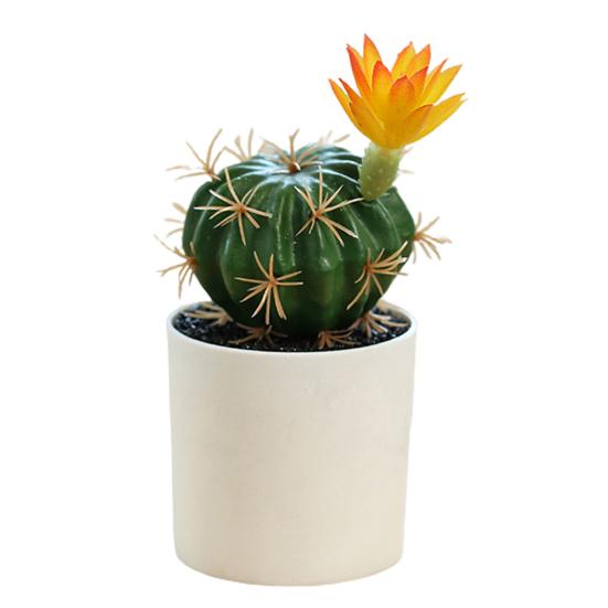 Mini Bonsai Non-Fading Landscaping Plastic Simulation Succulent Plants Table Decoration