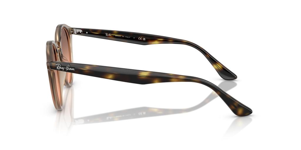 Солнцезащитные очки 0RB2180F TORTLDOVE 49 [Ray-Ban]