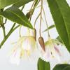 Зеленый искусственный фикус Tenuifolia ветка дерева Большие искусственные растения для домашнего сада Декор для вечеринки