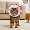 Anti Biting Pet Elizabethan Collar Anti-licking Cat Protective Collar  Neck Recovery