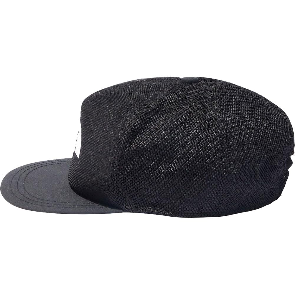 The North Face All Mesh Graphics New Taupe Large Cap, 2,