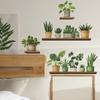 Свежая зелень Горшечные растения Полки Спальня Гостиная Домашний фон Ландшафтный дизайн Декоративные настенные наклейки