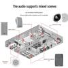 Беспроводная Bluetooth WiFi система оповещения и фоновой музыки, штекер CN (адаптер в комплекте) (Китайская версия)