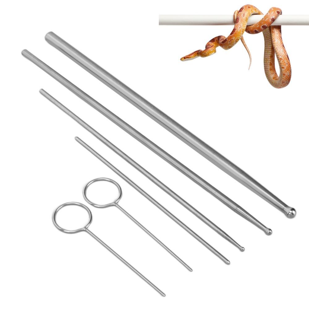 6pcs Stainless Steel Snake Probe Kit Anti Allergy Reptile Sexing Probe Snake Breeders