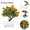 Orange Tree Diameter 22cm Easy To Clean Height 26cm Non Toxic Brand New