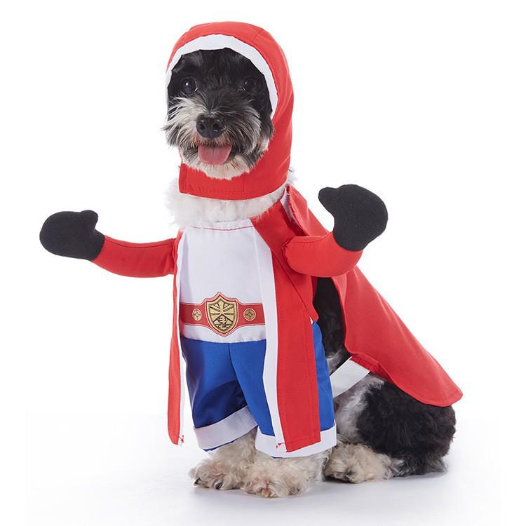Funny Dog Halloween Costumes: Teddy Schnauzer Thor Transformation Outfit