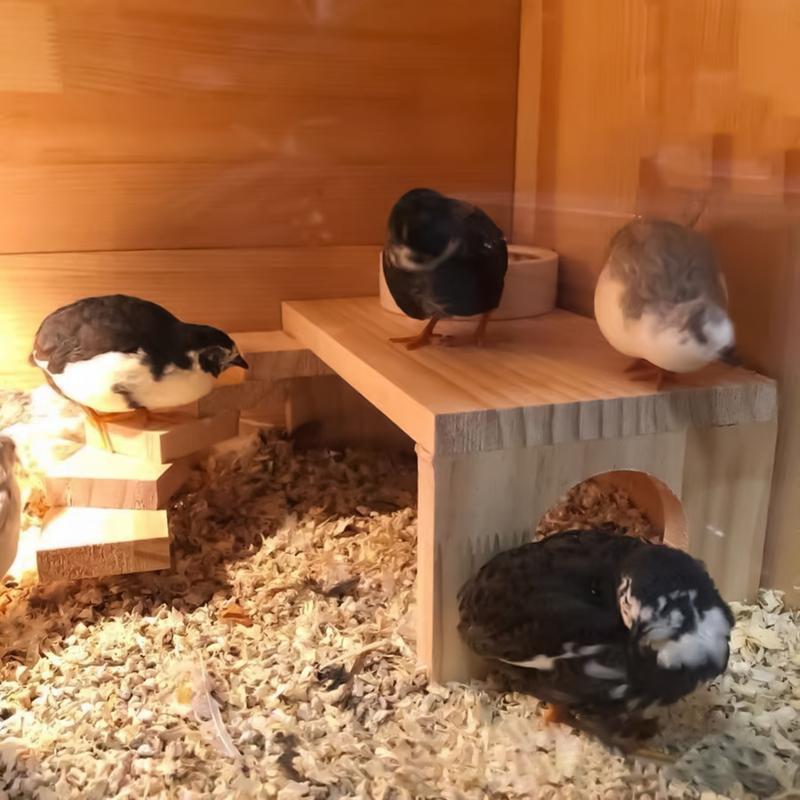 Платформы для клетки хомяка Деревянные игрушки для хомяка Компактная игрушка для лазания для мелких животных Морских свинок Песчанок Шиншилл Мышей