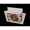 Bicycle Blank Back Standard Face Playing Cards Gaff Deck Card Games Magic Tricks