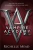 Книга VampireAcademy:1