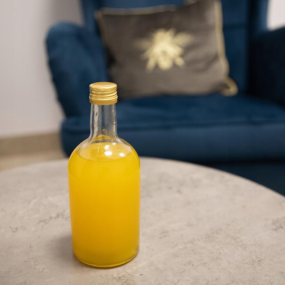50x Modern Bottle BLANKA 500ml + Cap For Liqueurs, Juice, Wine 0.5l