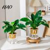 Hydroponic Plant Pot Self Watering Planter for Indoor Plants, Transparent Planter, Decorative Removable Basket Flowerpot with Wick Rope Home