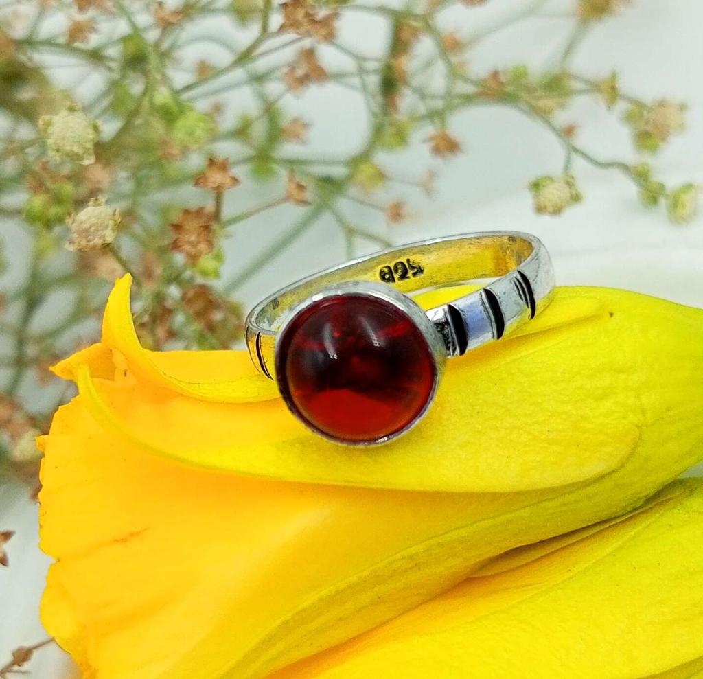 Ювелирные изделия в виде кольца из стерлингового серебра 925 пробы с гранатом PQY-IJ11048