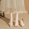 High Heels Women's Spring 2024 New French Gentle Temperament Pointed Thick High Heels Single Shoes Women's Shallow Wedding Shoes