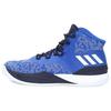 D Rose 8 'Collegiate Royal' CQ0826
