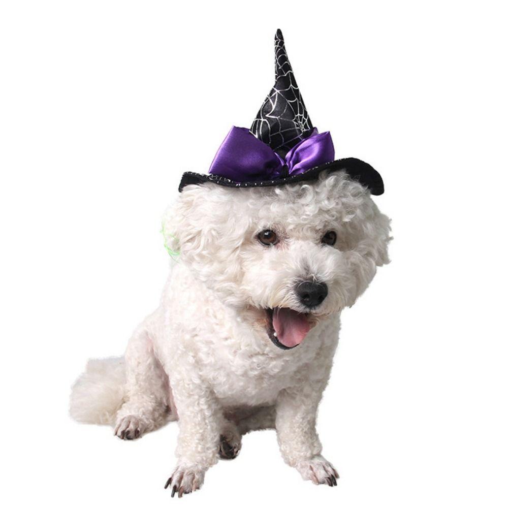 Мягкая кошачья шляпа волшебника, плащ, регулируемый костюм ведьмы для питомца, забавная кошачья шляпа волшебника-паука, косплей-вечеринка