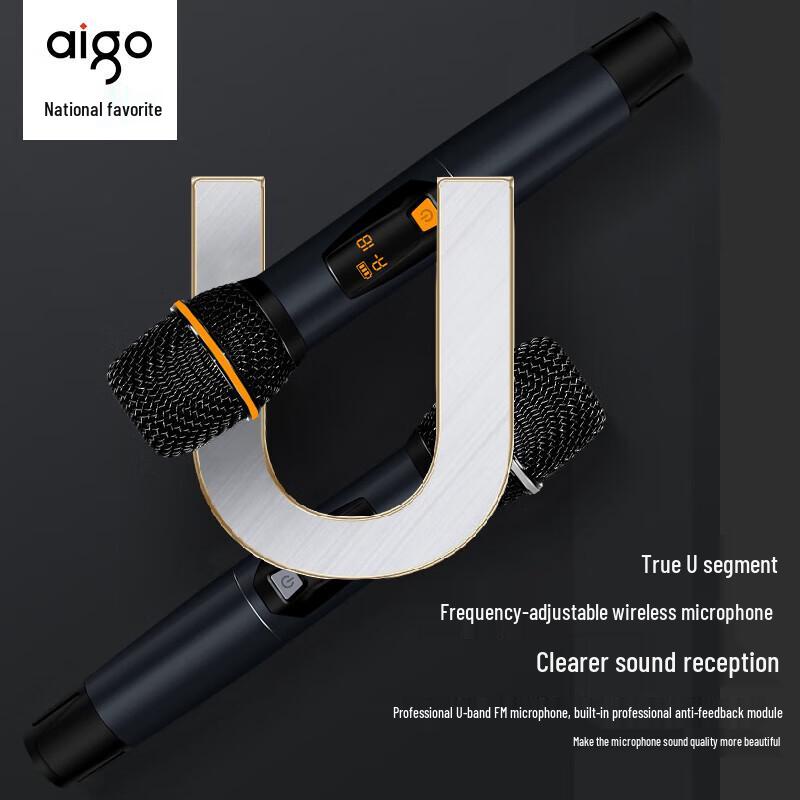 Aigo T190 Portable KTV Bluetooth Speaker with Dual Microphones