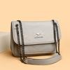 Bag Women's New Casual Fashion Niche Chain Bag Portable Shoulder Messenger Bag