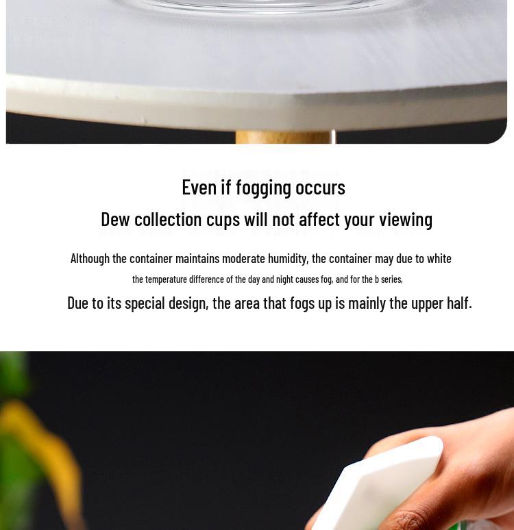 Dew Collection Mini Ecosystem: Moss Terrarium Glass Cover Decor