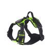 Luminous Pet Harness Rechargeable LED Lighted Dog Harness Adjustable Glowing Pet Chest Strap