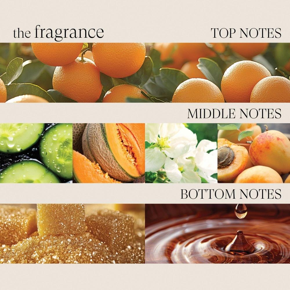 L Anza heaLing Strength Conditioner 8.5 Oz