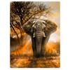 Cute Elephant Print Throw Blanket African Animals Warm Cozy Flannel Home Decor Colorful Dreamy Bubbles Pattern