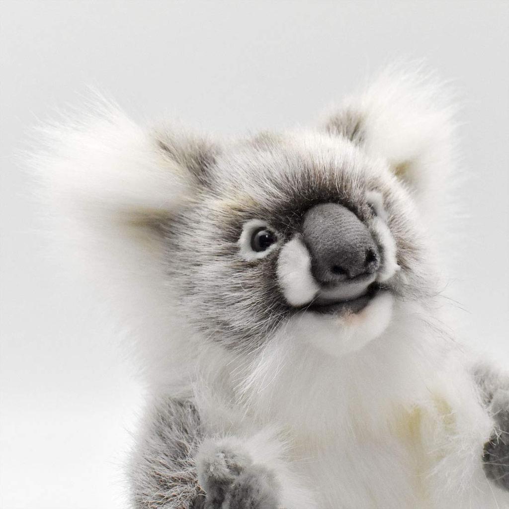 BH3525 HANSA Koala Pup 24