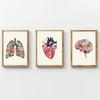 Human Anatomy Floral Heart Brain Lungs Medical Education Poster Canvas Painting Wall Pictures Home Dorm Decor
