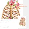 Скелетная система человека Canavs живопись функции скелета плакат с цветочным принтом анатомия человеческого тела настенная картина доктор офисный декор