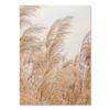 Desert Mountain Landscape Photo Posters and Prints Grass Canvas Painting Beige Neutral Boho Style Pampas Wall Art Pictures Decor