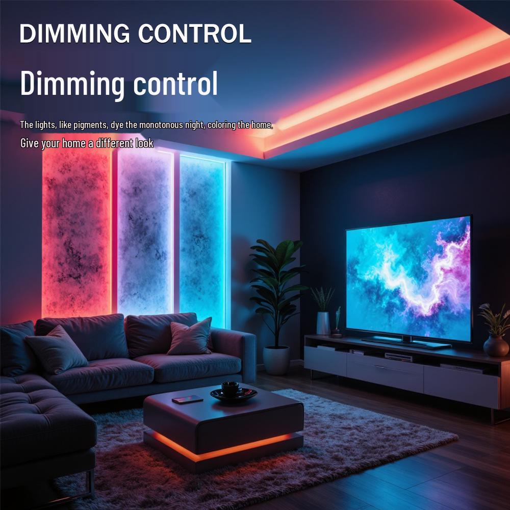 Programmable 5050 RGB Dreamcolor Light Strip, 12V Low Voltage, with Background Atmosphere and Breakpoint Resume