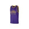 Баскетбольная майка с принтом логотипа Dri-FIT NBA Los Angeles Lakers мужская майка фиолетовая DR2273-504