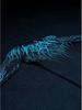 Breathedivinity 2025 Venom Фитнес Быстросохнущая Унисекс Компрессионная Рубашка с Длинным Рукавом