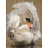 5D DIY Алмазная картина Благородный Белый Лебедь Алмазная вышивка Полный мозаичный набор Наборы для вышивки крестом Домашний декор Подарки ручной работы