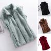 Women Winter Waistcoat High Collar Neck Protection Soft Plush Zipper Closure Solid Color Cold Resistant Outdoor Vest Coat