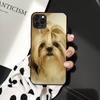 Чехол для телефона с изображением щенка ши-тцу Shitzu для iPhone 11 12 13 mini pro XS MAX 8 7 6 6S Plus X 5S SE 2020 XR