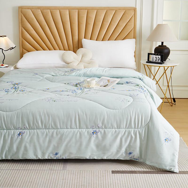 Begamann Fresh Floral Lavender Soy Fiber Warm Quilt