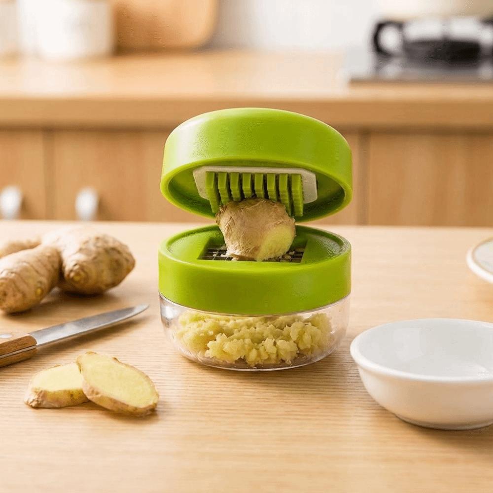 with Storage Case Mini Garlic Press Manual Ginger Masher Multi-functional Garlic Crusher  Food Prep