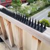 12 Pcs Garden Bird Deterrent Spikes Cat Pigeon Deterrent Fence Wall Spikes Anti Climb Spikes for Windowsill Fence Top