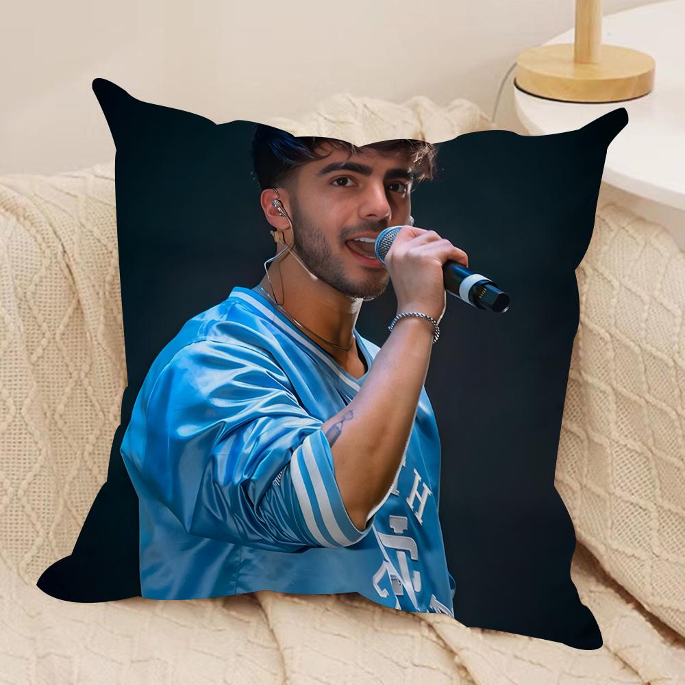 Internet Celebrity Fede VVigevani Cushion Cover Silky Short Plush Invisible Zipper Dustproof Sofa Pillow Case for Home Decor