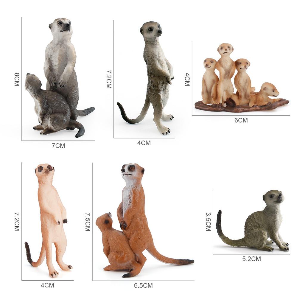 Realistic Pvc Mongoose Animal Model Toy For Kids Learning Decorations Gifts