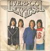 7-дюймовая пластинка LIVERPOOL EXPRESS - У каждого должна быть мечта K16854 Warner Bros. Re 1976 UK Рок Б/У