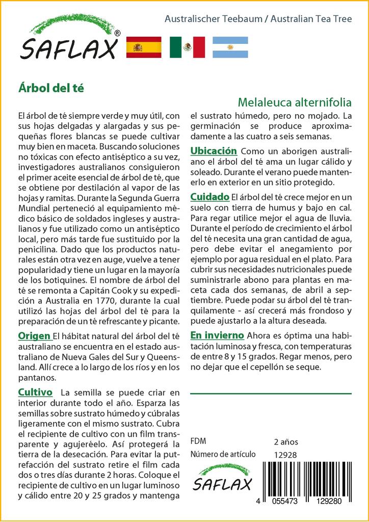 SAFLAX Австралийское чайное дерево - 400 семян - Melaleuca alternifolia