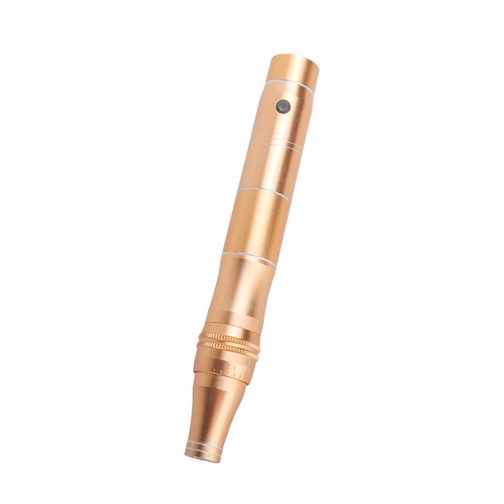 Rechargeable Rose Electric Microneedle Pen for Skin Rejuvenation and Hyaluronic Acid Treatment.